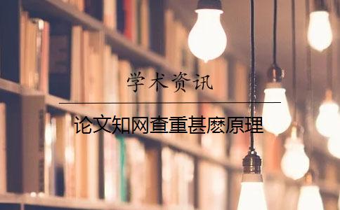 論文知網(wǎng)查重甚麼原理