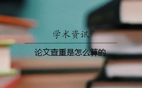 論文查重是怎么算的